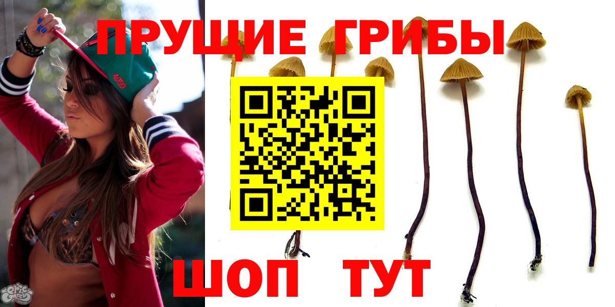 Псилоцибиновые грибы прущие грибы Семилуки