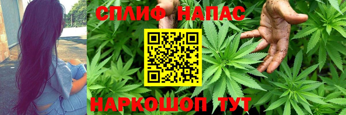 Бошки Шишки марихуана  Шишки марихуана SATIVA & INDICA  Вход с VPN  МАРИХУАНА планчик  Семилуки 
